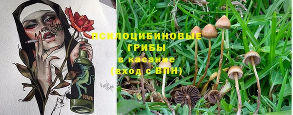 эйфоретик Михайловка