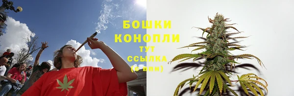 ПСИЛОЦИБИНОВЫЕ ГРИБЫ Михайловск