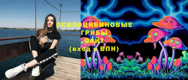ПСИЛОЦИБИНОВЫЕ ГРИБЫ Михайловск